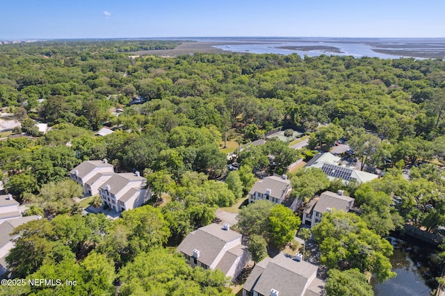 4746 Gulfstream Ct, Fernandina Beach, FL 32034 - aerial view with a water view, a view of trees, and a residential view