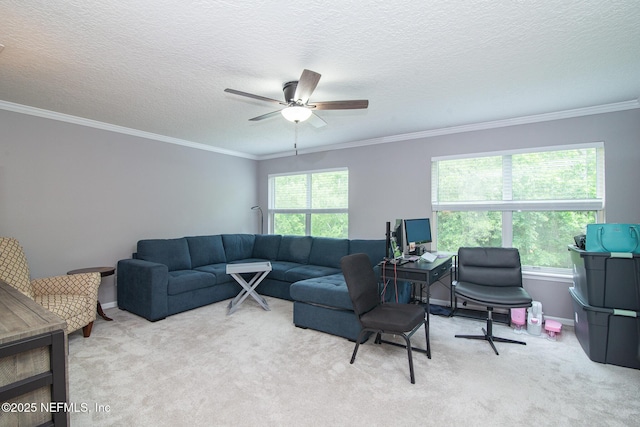 living room featuring carpet floors, a ceiling fan, and crown molding