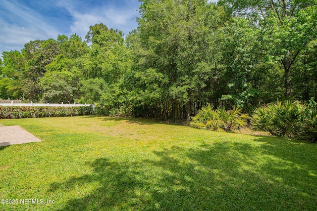 view of yard featuring fence and a patio area