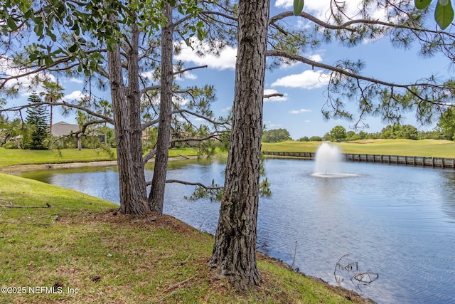 view of water feature