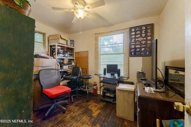 office area featuring ceiling fan and hardwood / wood-style flooring