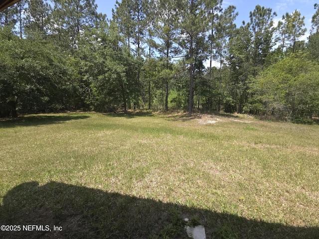 view of yard featuring a wooded view