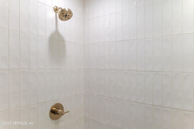 interior details featuring a tile shower