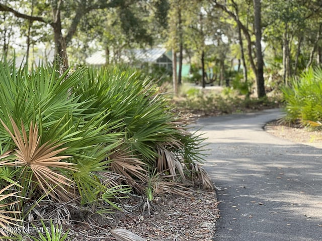 view of surrounding community