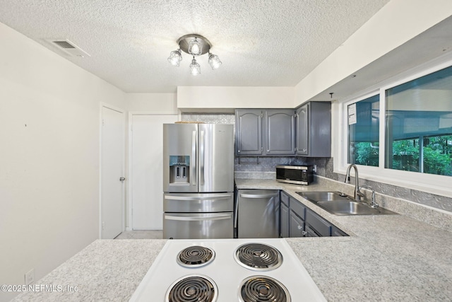 7437 Ortega Hills Dr, Jacksonville, FL 32244 - kitchen featuring appliances with stainless steel finishes, a sink, gray cabinetry, light countertops, and a textured ceiling
