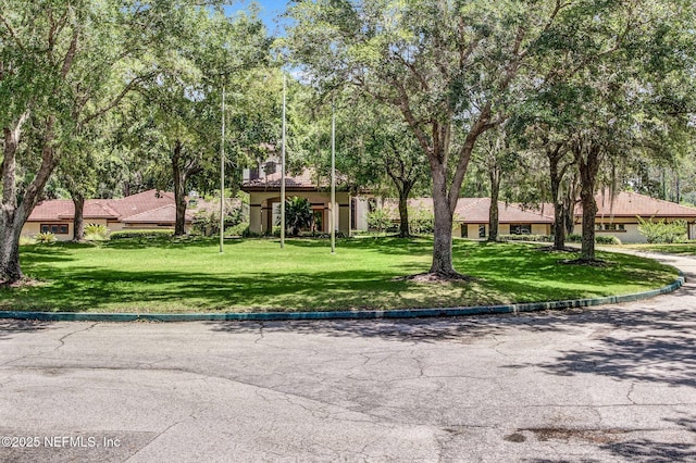ranch-style house with a front yard
