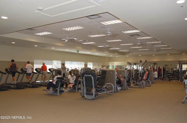 gym featuring a ceiling fan, carpet flooring, and a drop ceiling