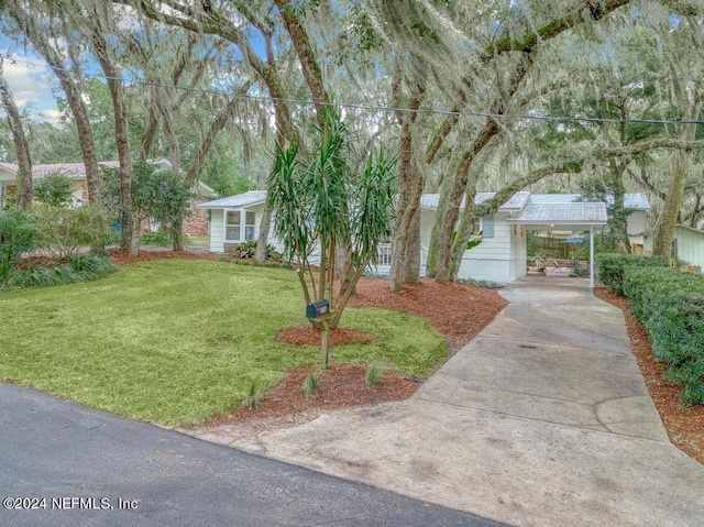 view of front facade featuring concrete driveway and a front lawn