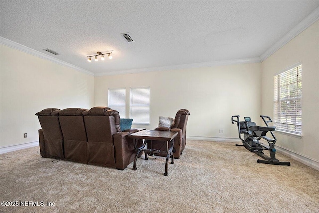 carpeted living area with baseboards, ornamental molding, a textured ceiling, and visible vents