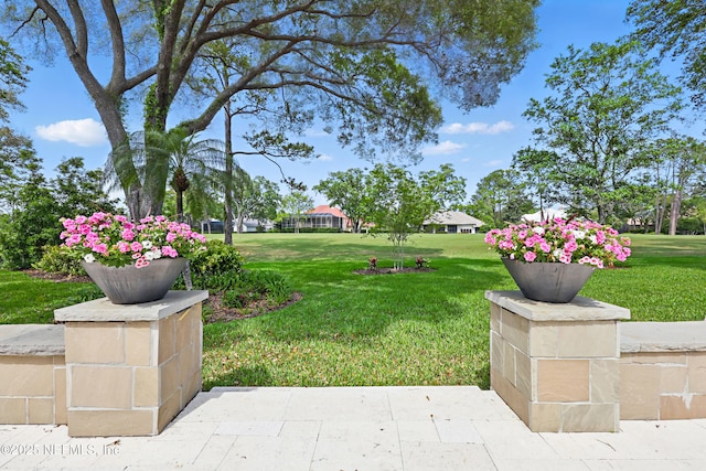 view of yard