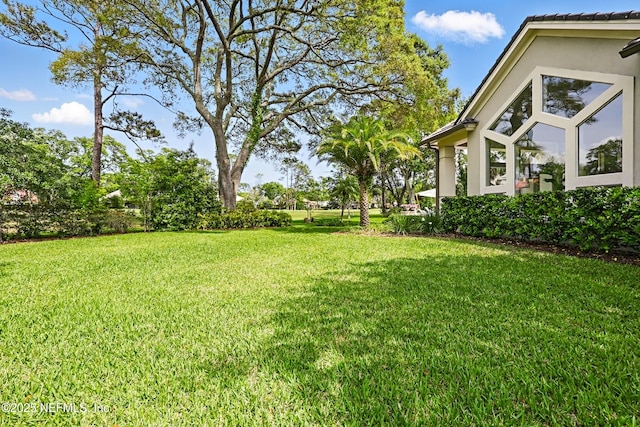 view of yard