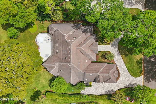 drone / aerial view