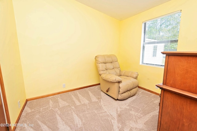 sitting room featuring baseboards and carpet flooring