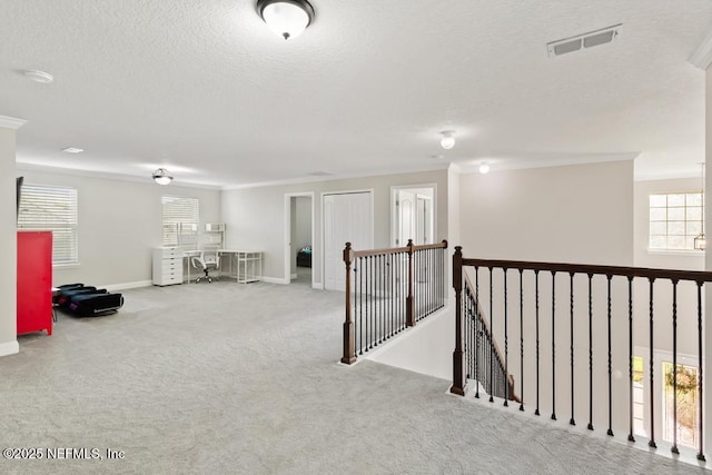 3835 N Trapani Dr, Saint Augustine, FL 32092 - photo 8