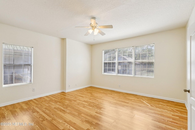 1071 Scriven St, Jacksonville, FL 32209 - photo 6