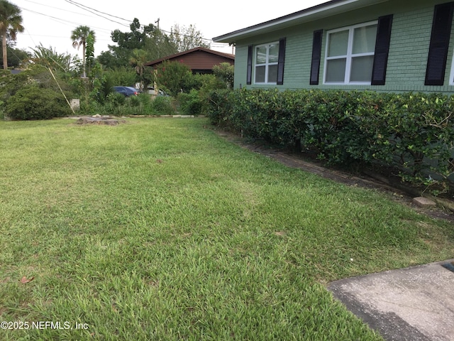 view of yard