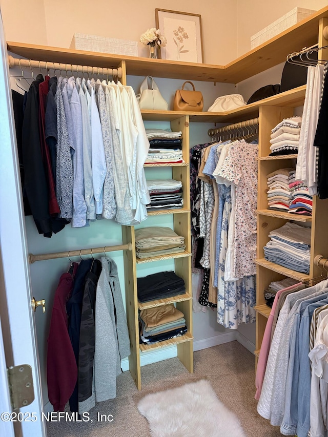 8601 Beach Blvd Unit 711, Jacksonville, FL 32216 - spacious closet featuring carpet