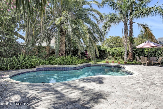 50 Jefferson Ave, Ponte Vedra Beach, FL 32082 - pool with a patio area