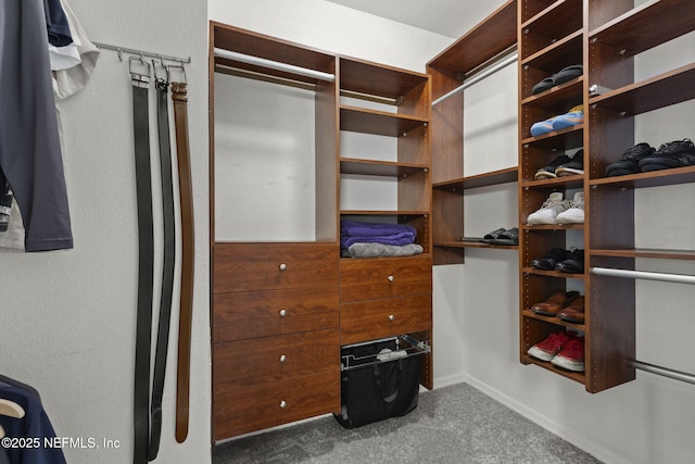 10961 Burnt Mill Rd Unit 318, Jacksonville, FL 32256 - spacious closet with carpet