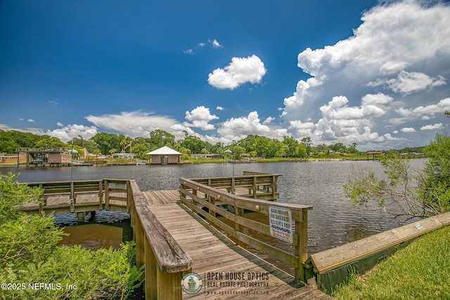 1909 University Blvd S Unit 204, Jacksonville, FL 32216 - dock area with a water view