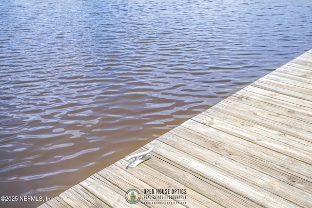 1909 University Blvd S Unit 204, Jacksonville, FL 32216 - view of dock area