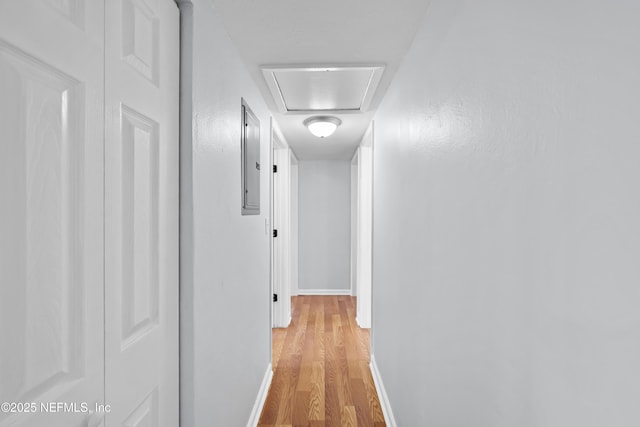 corridor featuring baseboards, electric panel, and light wood-type flooring