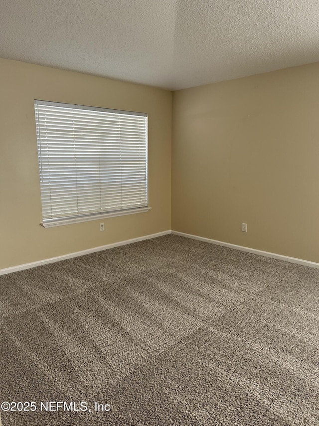 1831 Moss Creek Dr SW, Fleming Island, FL 32003 - carpeted spare room featuring baseboards, a textured ceiling, and a healthy amount of sunlight