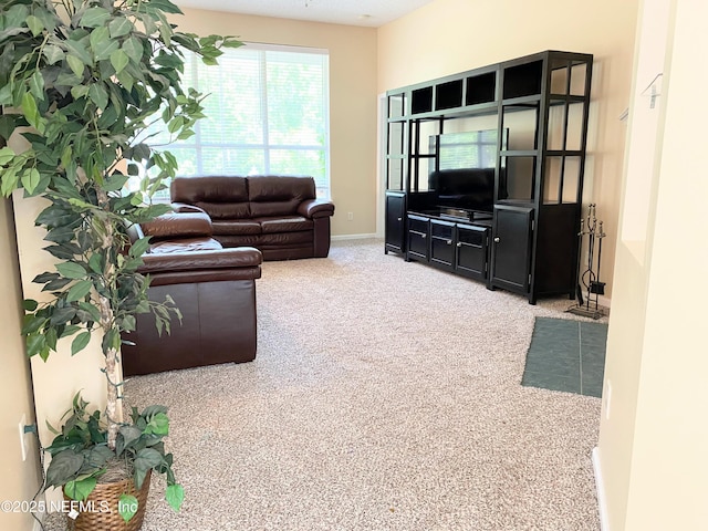 1831 Moss Creek Dr SW, Fleming Island, FL 32003 - view of carpeted living room
