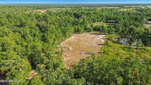 3879 Hamp Hicks Rd, Bryceville, FL 32009
