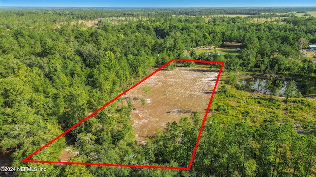 3879 Hamp Hicks Rd, Bryceville, FL 32009