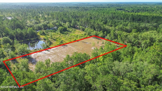 3879 Hamp Hicks Rd, Bryceville, FL 32009