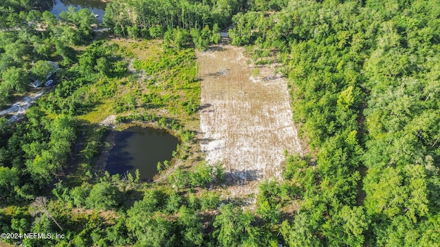 3879 Hamp Hicks Rd, Bryceville, FL 32009