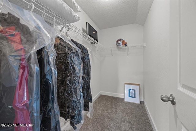 77 Palisade Dr, Saint Augustine, FL 32092 - walk in closet featuring carpet