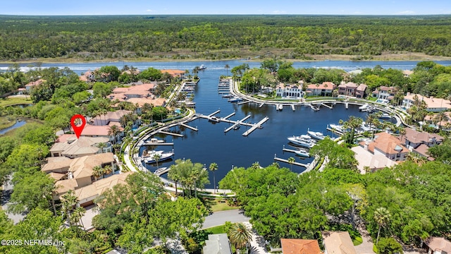 108 Harbourmaster Ct, Ponte Vedra Beach, FL 32082 - aerial perspective of suburban area with a forest, a large body of water, and a marina