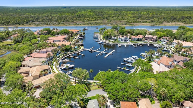 108 Harbourmaster Ct, Ponte Vedra Beach, FL 32082 - aerial view of residential area with a heavily wooded area, a nearby body of water, and numerous boat docks