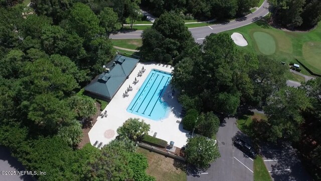 108 Harbourmaster Ct, Ponte Vedra Beach, FL 32082 - aerial view of a pool area and a tree filled landscape