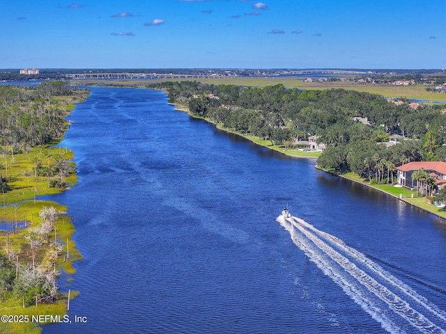 108 Harbourmaster Ct, Ponte Vedra Beach, FL 32082 - aerial view of a large body of water