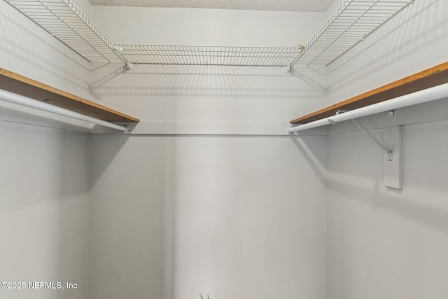 6085 Bermuda Dr, Fleming Island, FL 32003 - view of spacious closet