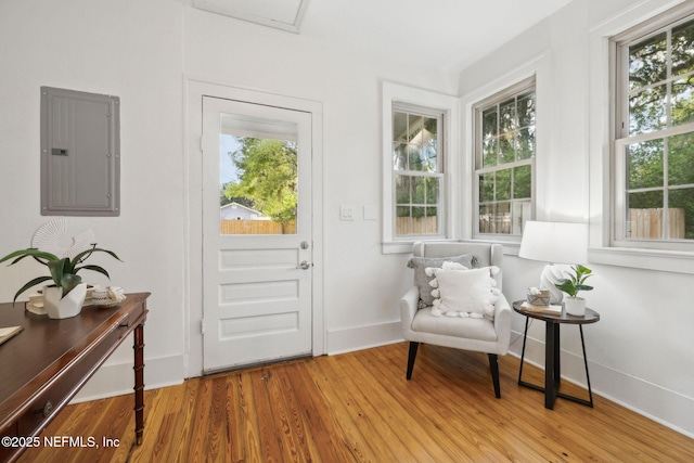 2930 Apache Ave, Jacksonville, FL 32210 - foyer entrance featuring electric panel, healthy amount of natural light, wood finished floors, and baseboards