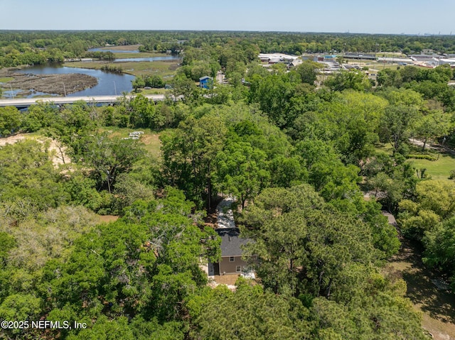 4220 Ribault River Ln, Jacksonville, FL 32209 - birds eye view of property with a water view and a wooded view