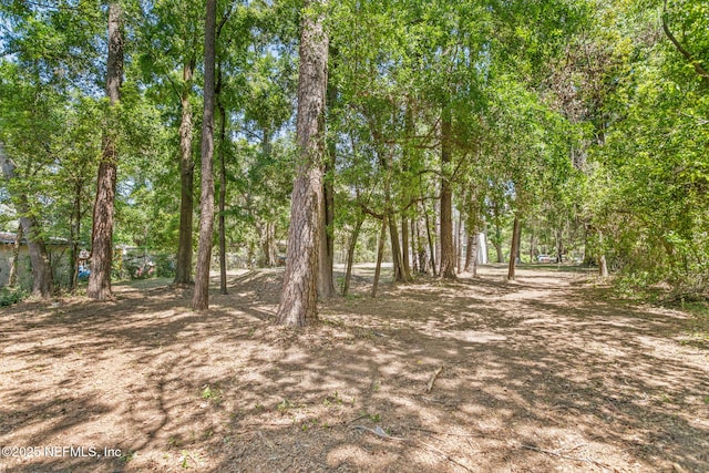 4220 Ribault River Ln, Jacksonville, FL 32209 - view of yard