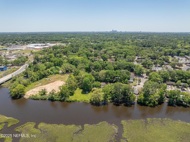 4220 Ribault River Ln, Jacksonville, FL 32209 - drone / aerial view with a water view