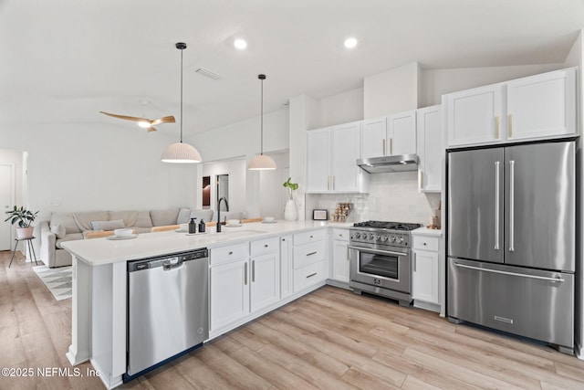 80 Boulder Ln, Saint Johns, FL 32259 - kitchen featuring high quality appliances, a sink, under cabinet range hood, a peninsula, and decorative backsplash