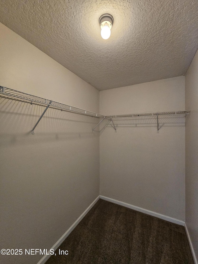 walk in closet with dark colored carpet