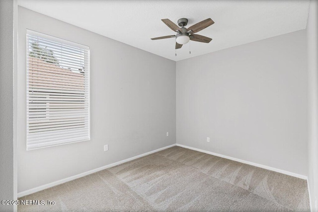 121 Mahogany Bay Dr, Jacksonville, FL 32259 - photo 22