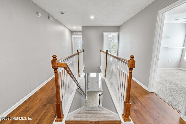 121 Mahogany Bay Dr, Jacksonville, FL 32259 - photo 26