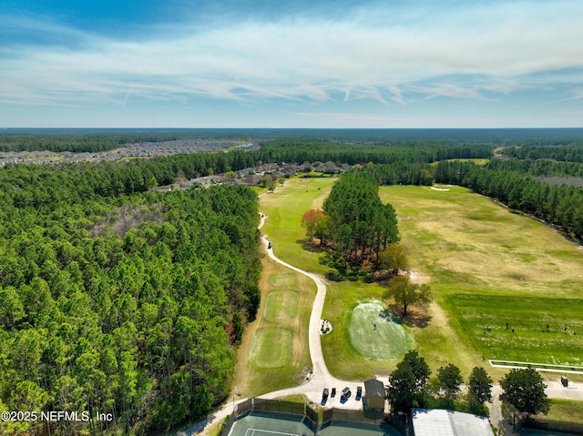 3738 Eagle Rock Rd, Middleburg, FL 32068 - photo 48