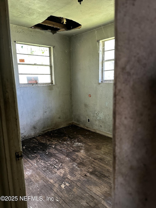 spare room featuring wood-type flooring
