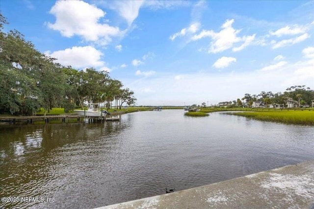 2762 Seagate Ave, Jacksonville Beach, FL 32250 - photo 61
