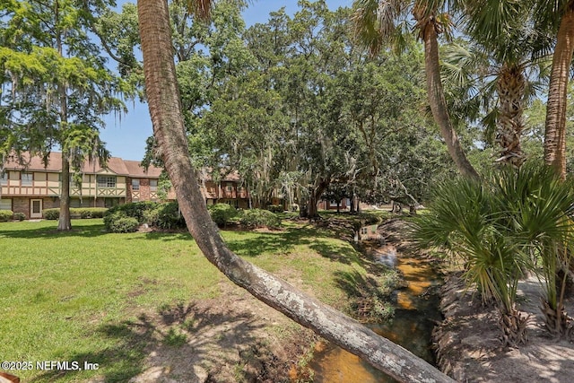 8209 Kensington Sq, Jacksonville, FL 32217 - photo 37